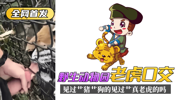 国产乱码精品一区二区三区不卡-中文字幕大全DVD国语在线观看