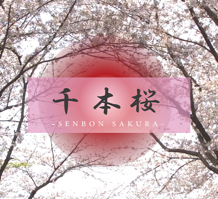 91黄片短视频安装软件-高清无水印国产在线视频